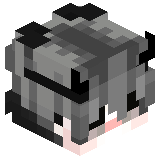 Raytoo