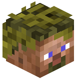 Rible
