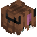 Ryfixxx