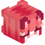 Ryzodoc