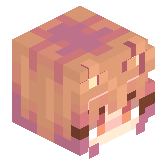 SHvarcer14