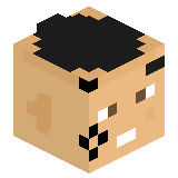 SamopalX