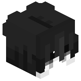 Sanfeero