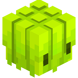 Shavel_