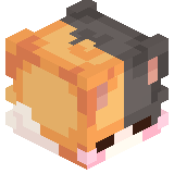 ShokoNPH
