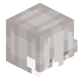 SkyMort
