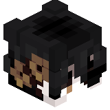 Sl1ver_1337