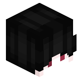 Sqd_AnDiKo