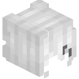 TCP