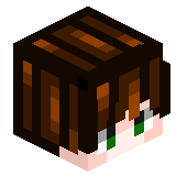 The_MiRRoN
