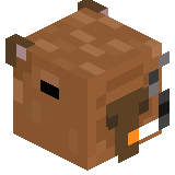 VORugaPM