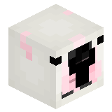 Vanek_showYT337