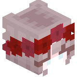 Vi_Ro