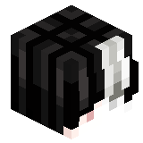 Vorwog