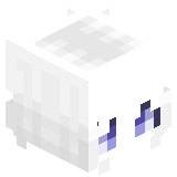 WhoYo