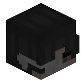 Xelzee