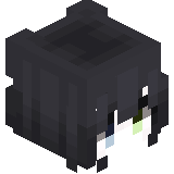 XpositionYT