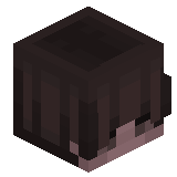 Zinquisitxr