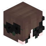 Zollun
