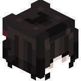 _FinWaider_