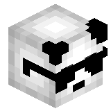 _Macik_