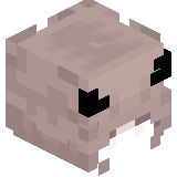 _Minikotic_3