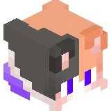 _MrKarut_
