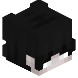 _Nest_05