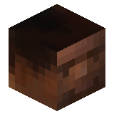 _RayShow_