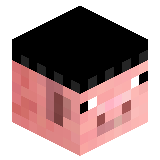 _SmetanaNosok_N1