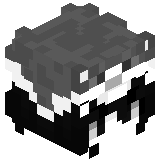 _bico_