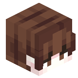 alexmsq