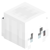 aoo