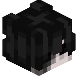 b2p