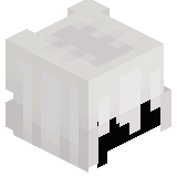 banderawashero