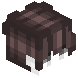 chemodan_