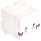 closmain