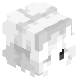 comitissa