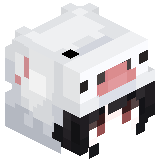 cronoctop