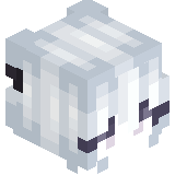 d9ina