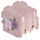 danilVimer