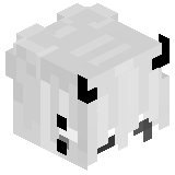 duwhxhew