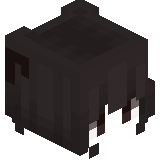 eclipsewarden