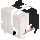 fifa_vime