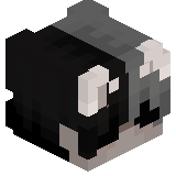 imLM