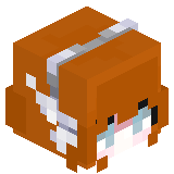 kapotez