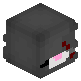 kogdty