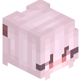 lilly_cat