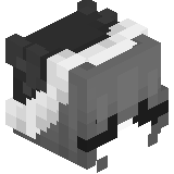 lisenok_lowe