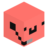maxsuus